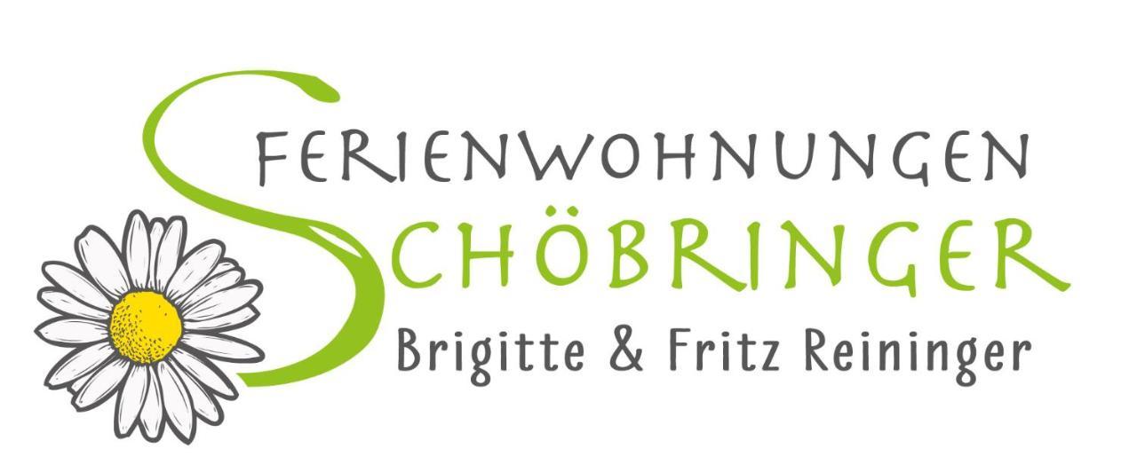 Ferienwohnungen Schoebringer Weyregg Εξωτερικό φωτογραφία